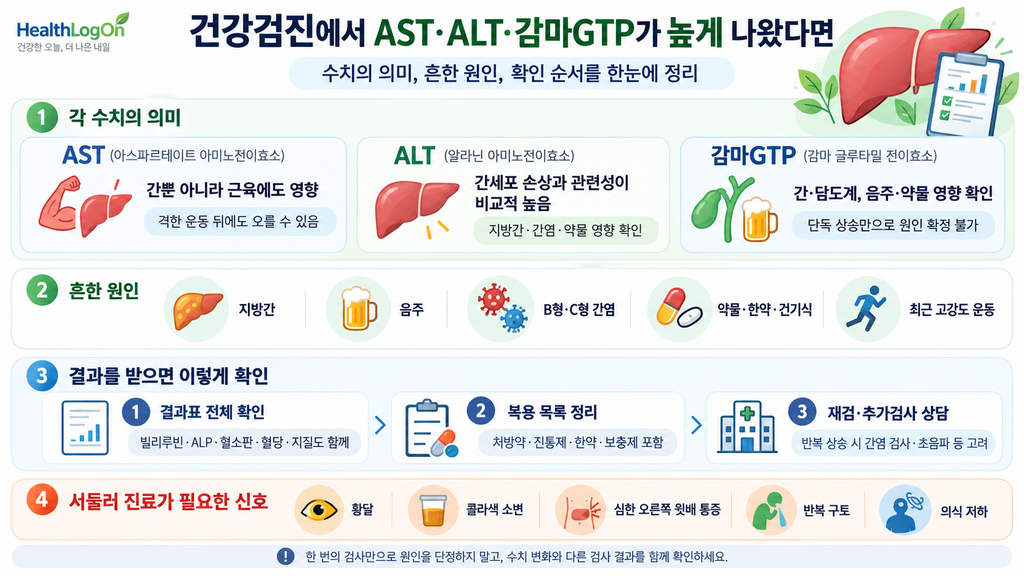 AST·ALT·감마GTP 수치의 차이와 상승 원인, 건강검진 결과를 받은 뒤 재확인할 순서