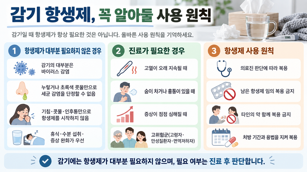 감기 항생제가 대부분 필요하지 않은 이유와 올바른 항생제 사용 원칙을 정리한 인포그래픽