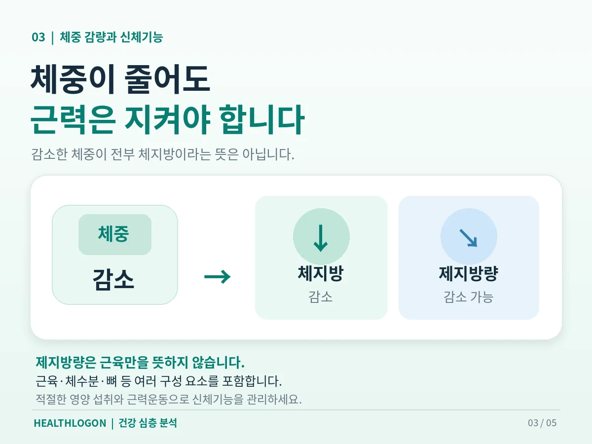 비만치료제로 체중이 감소할 때 체지방과 제지방량이 함께 변화할 수 있어 근력운동이 중요함을 설명하는 인포그래픽